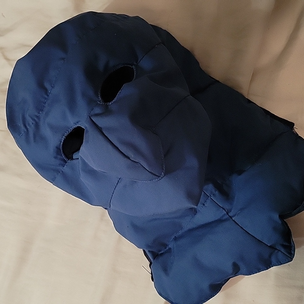Winter Face Mask